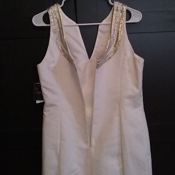 Brand New Just...Taylor Cotton Dress sz 12 - Picture 5 of 7